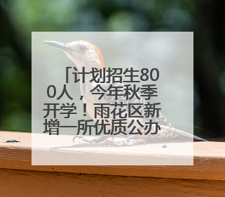 计划招生800人，今年秋季开学！雨花区新增一所优质公办学校